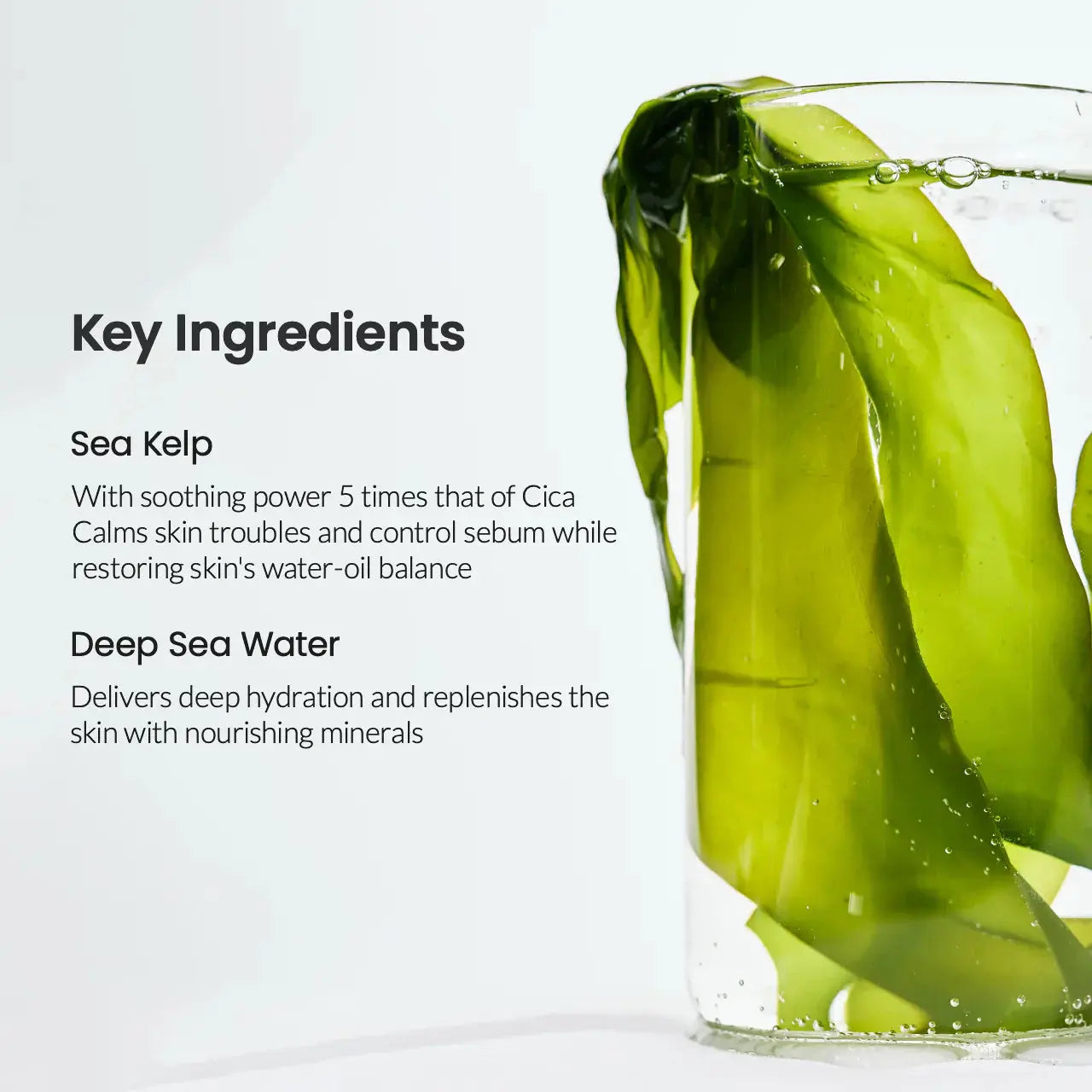 Biodance Refreshing Sea Kelp Real Deep Mask Biodance